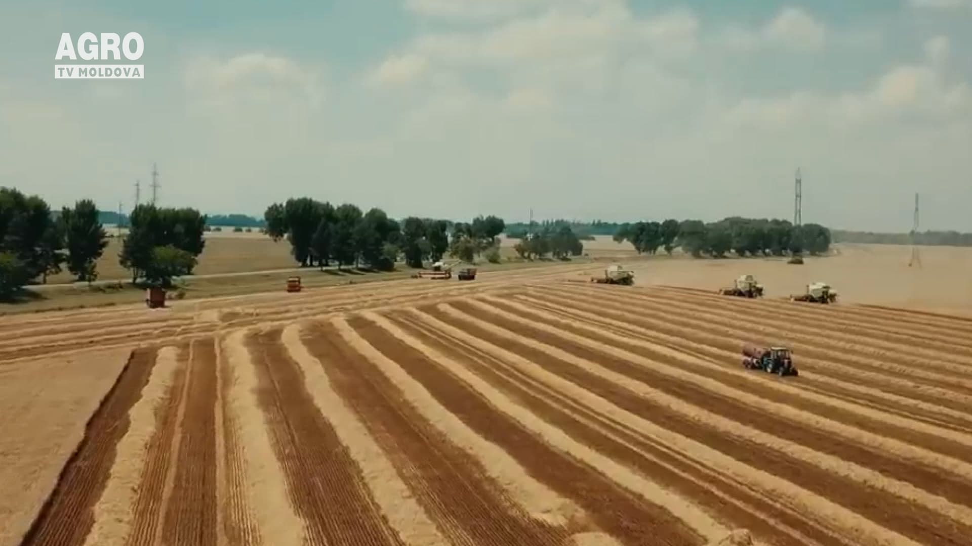 Roada în Transnistria, de trei ori mai mică