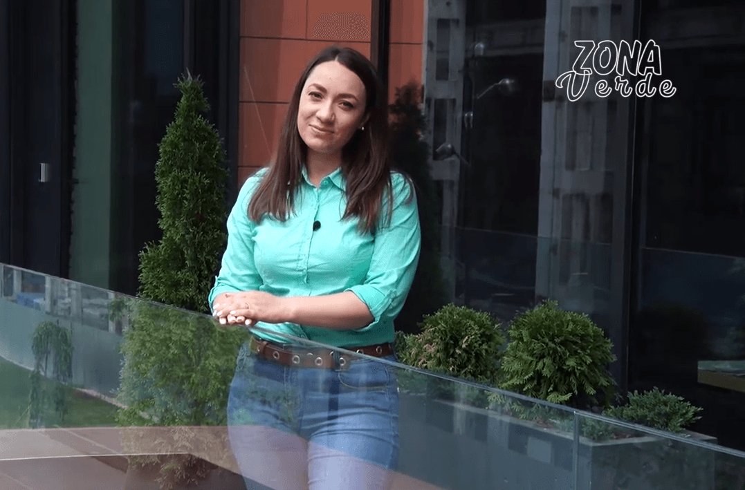 ZONA VERDE-SERVICII DE ÎNVERZIRE A SPAȚIILOR DE INTERIOR