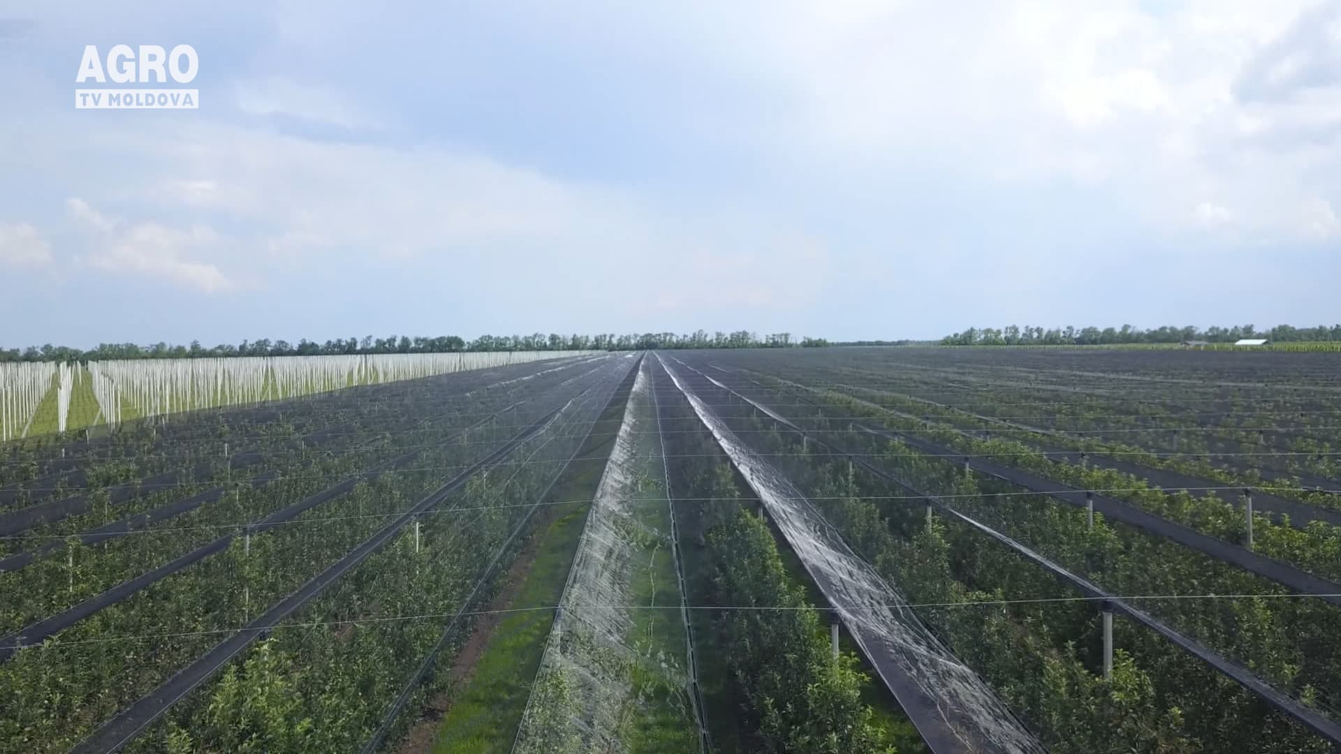 Bunele practici de protecție a mediului, element indispensabil în agricultura performantă din Moldova