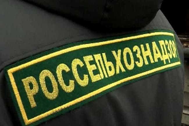 Rusia a distrus 16 tone de prune moldovenești