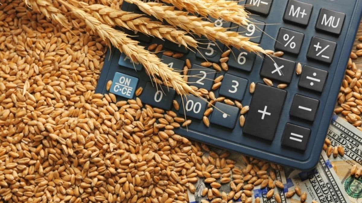 Măsuri de susținere a agricultorilor