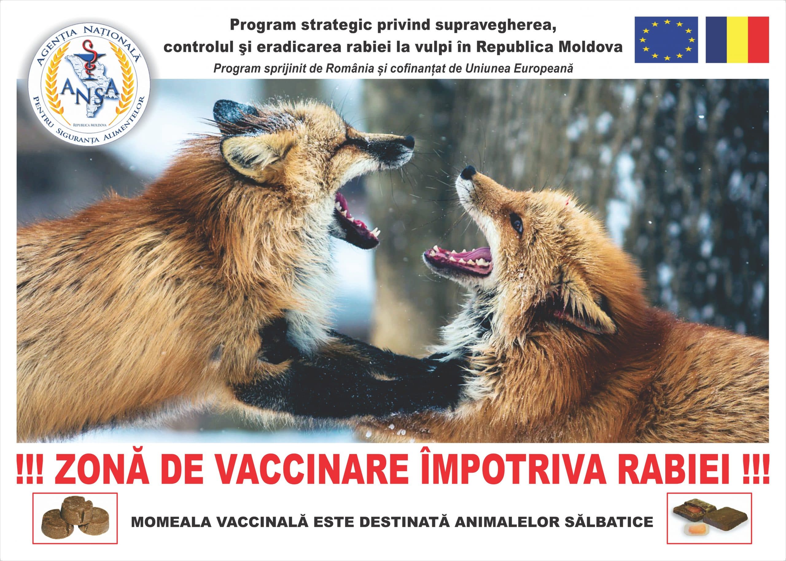 Un caz de rabie, confirmat la Râșcani
