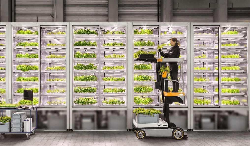 Start-up din agricultură modernă, compania Infarm strânge 170 milioane USD în capitaluri proprii și datorii pentru a continua să își construiască rețeaua de „agricultură verticală”.