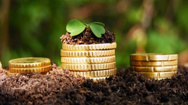 Granturi de peste 300 mii dolari pentru fermieri, prin Programul „Managementul durabil al terenurilor”