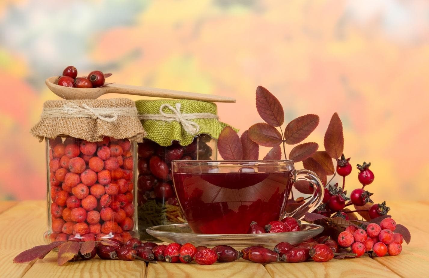 Măceșul conține de 20 de ori mai multă vitamina C decât lămâia
