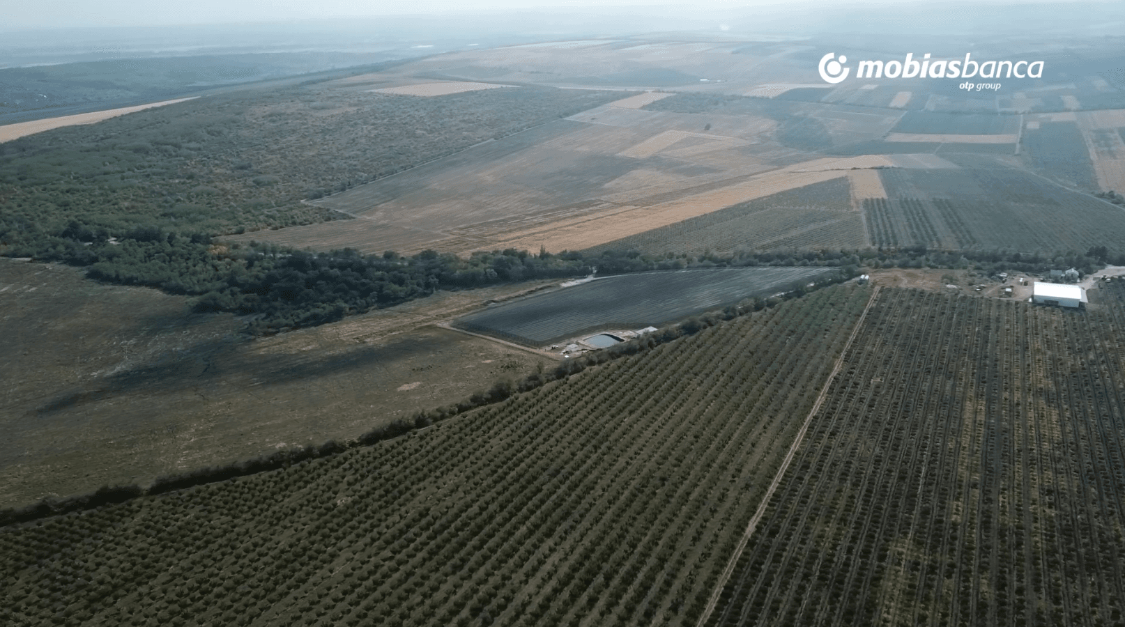 Pune-ți afacerea în agricultură pe upgrade cu Mobiasbanca – OTP Group!