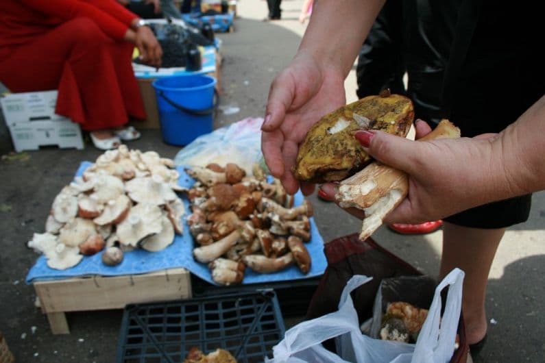 Atenție! Pericol de intoxicație cu ciuperci
