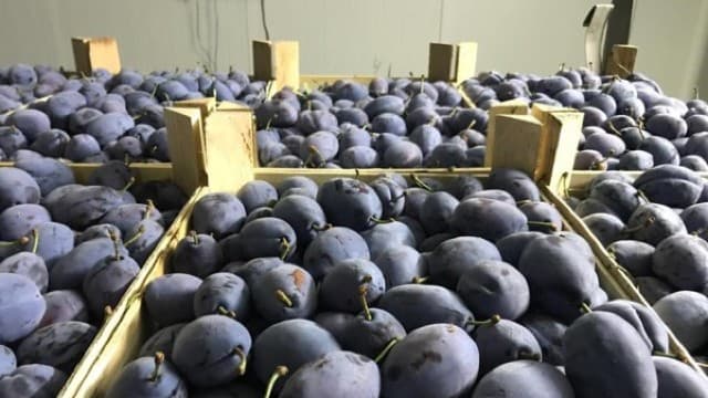 Prune mai puține, cerere mai mare