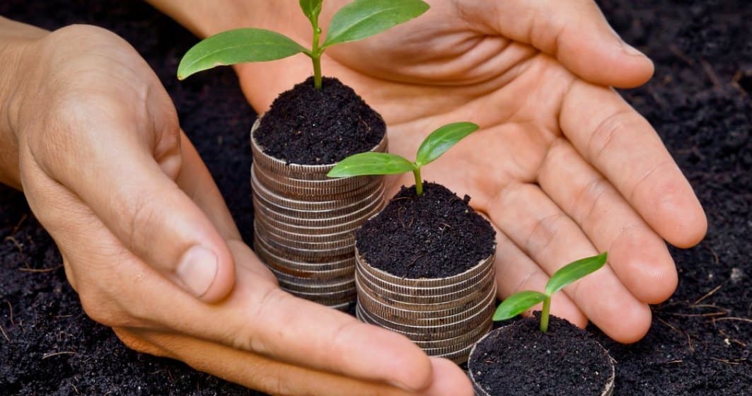 31 octombrie – termenul limită de depunere a dosarelor la AIPA