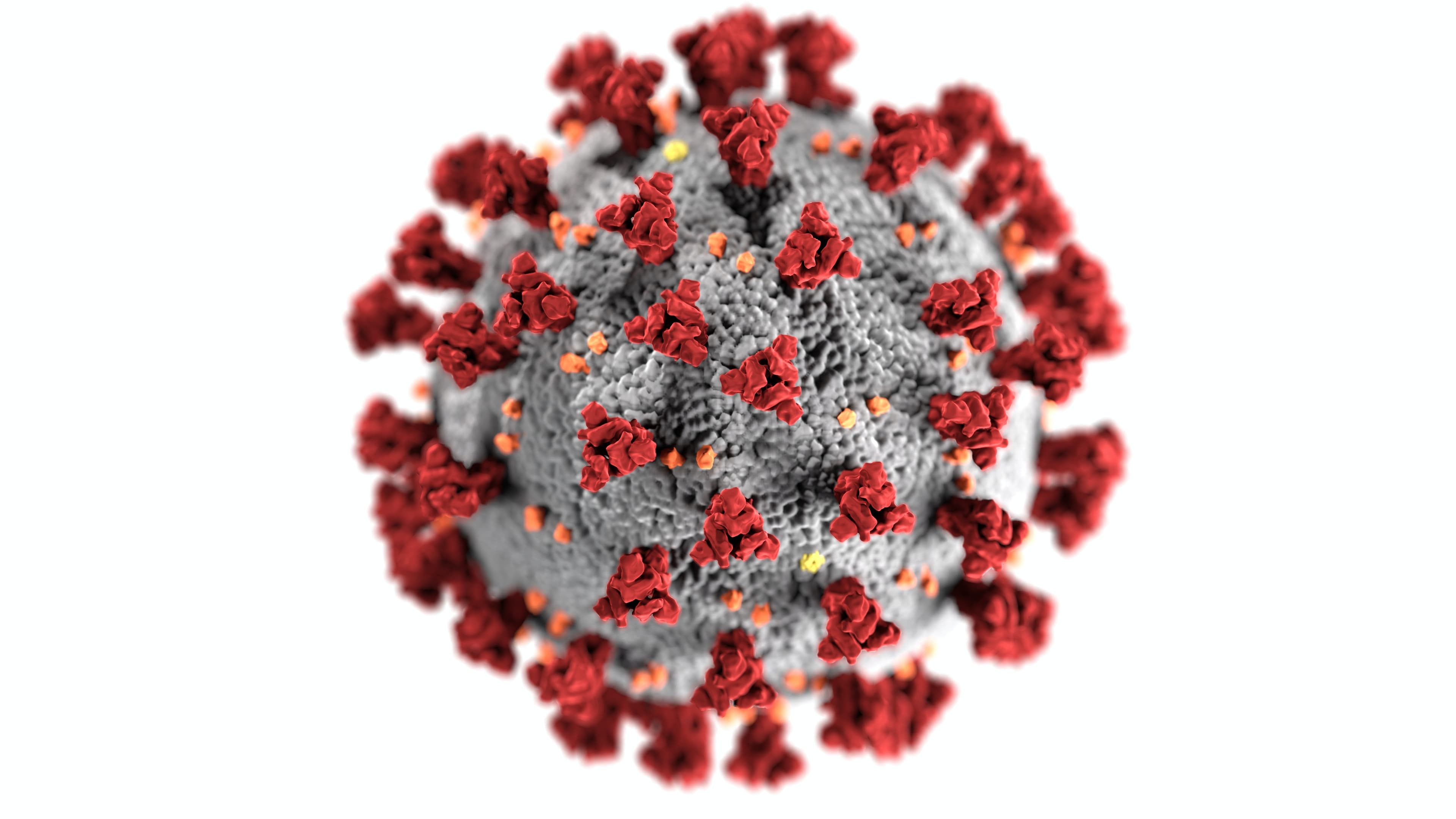 Virusul modificat ar putea combate formele de cancer avansat