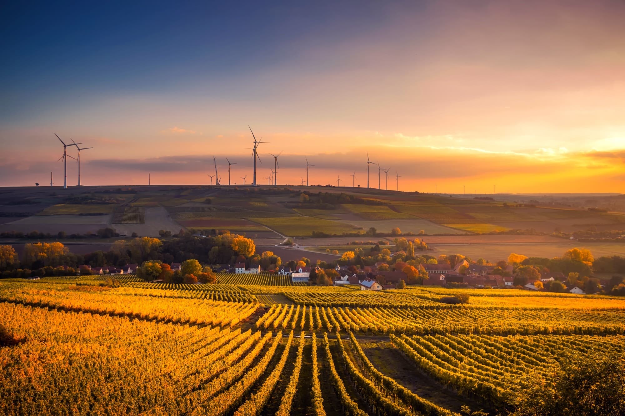 Startup-ul european ”Agrivi” pentru soluția de gestionare a fermelor