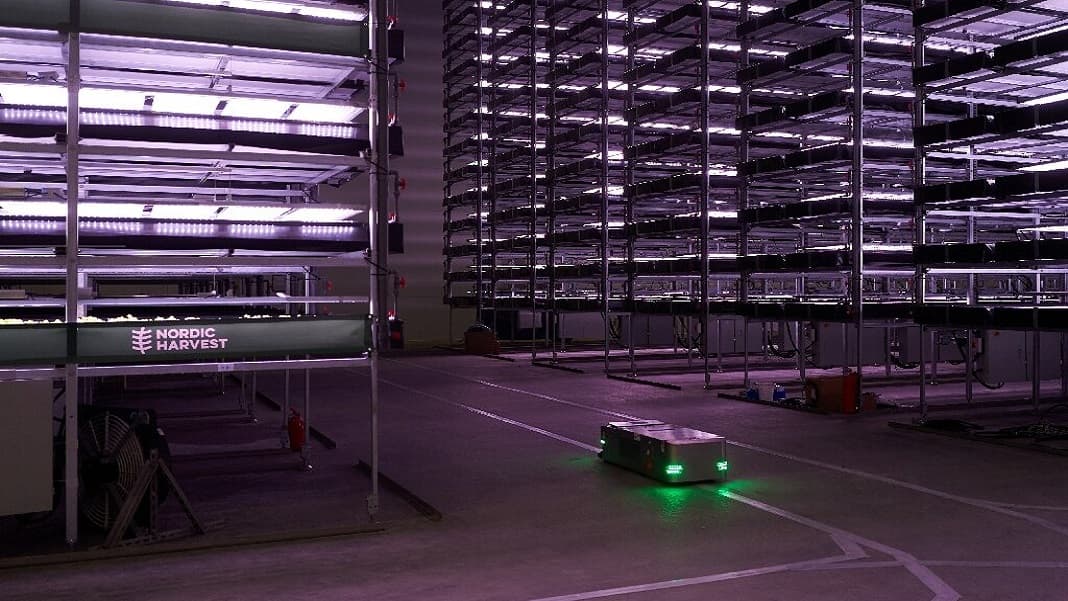 Cea mai mare fermă verticală din Europa, plantată de roboți