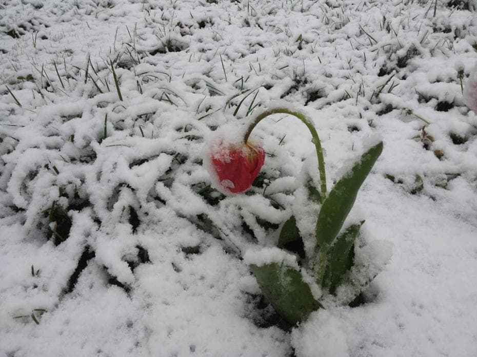 Patru ani de la ninsorile abundente din aprilie 2017