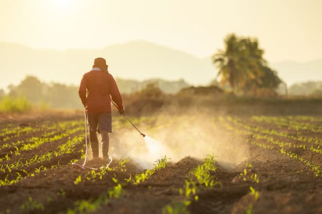 64 la sută din terenurile agricole, expuse riscului de poluare