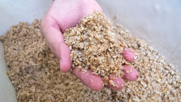 Deșeurile de bere pot fi transformate în biocombustibil