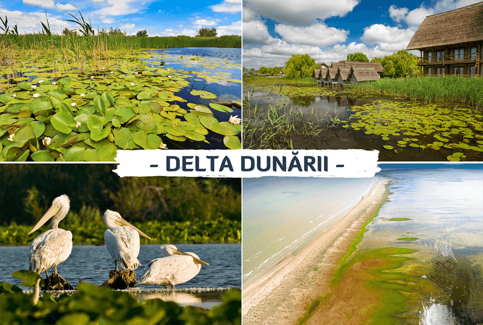 Dunărea, micul Amazon European