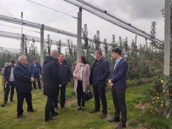 Producătorii de fructe s-au întâlnit cu deputații din Comisia parlamentară pentru Agricultură și Industrie Alimentară
