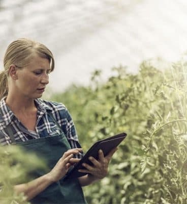 86 de femei antreprenoare din agricultură adoptă energia verde și economisesc milioane