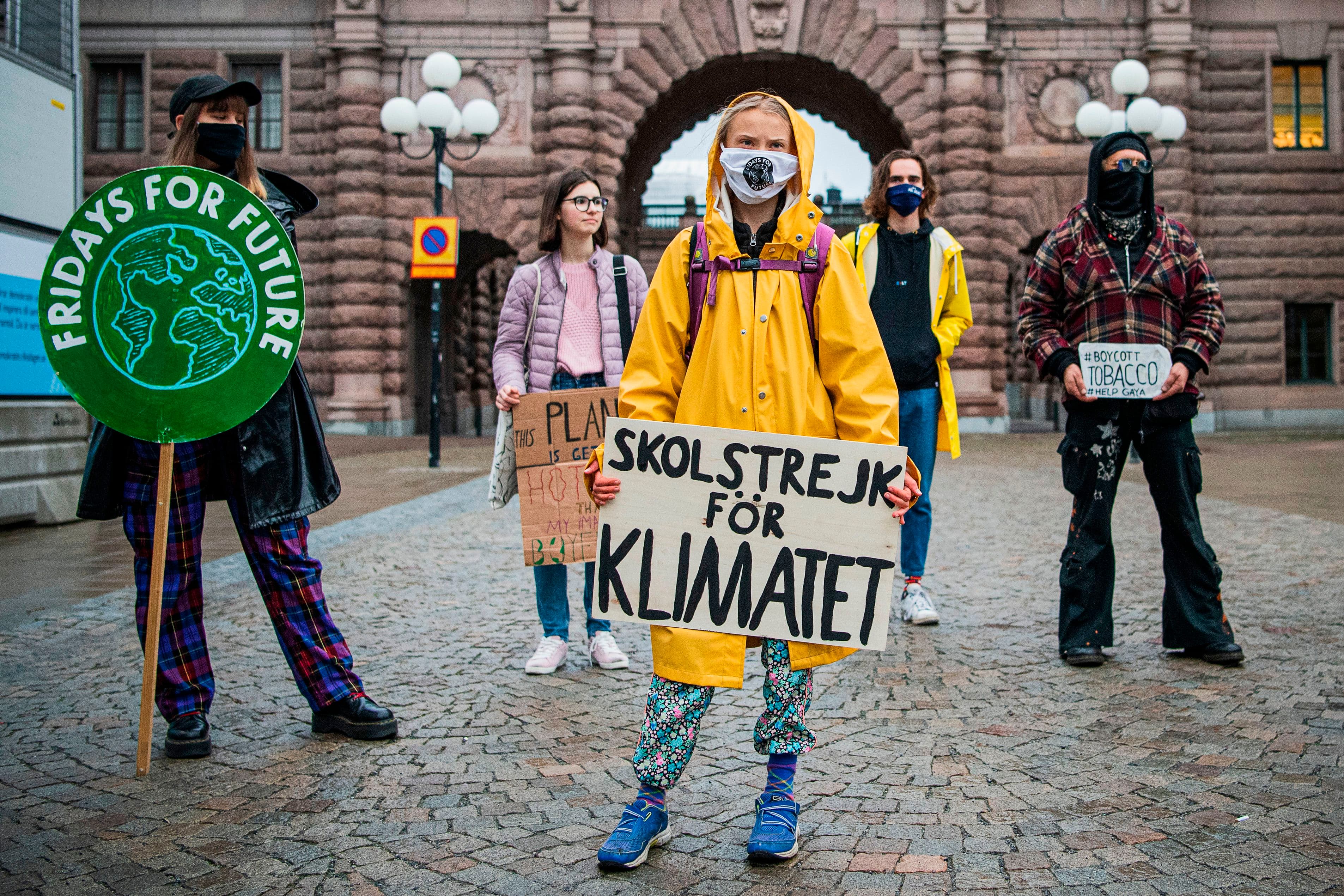 Greta Thunberg vrea noi proteste pentru climă: „Sloganul este: Dezrădăcinează sistemul!”