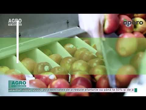 (VIDEO)AgriTech: Roboți de împachetat mere