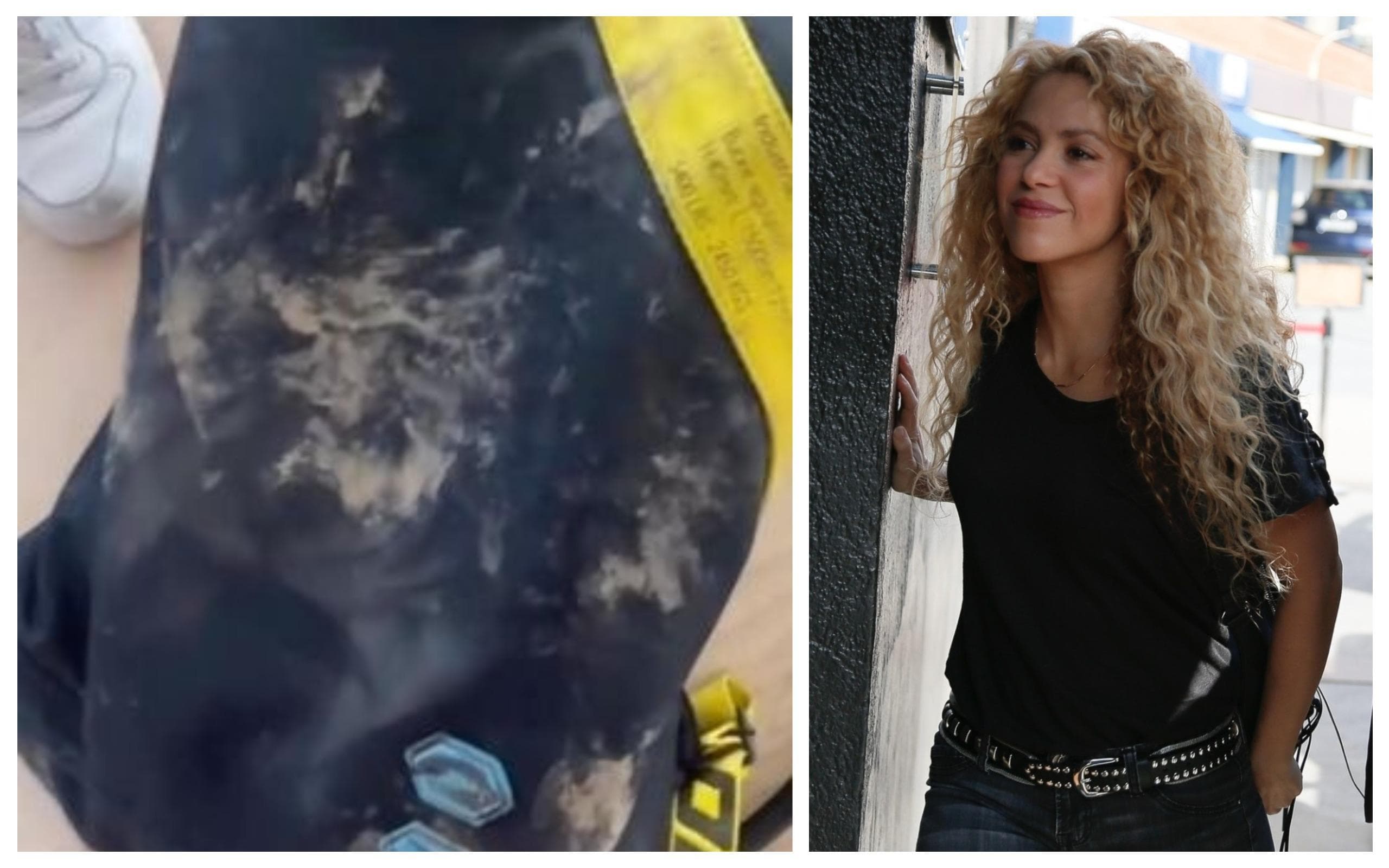 Shakira a fost atacată de doi porci sălbatici