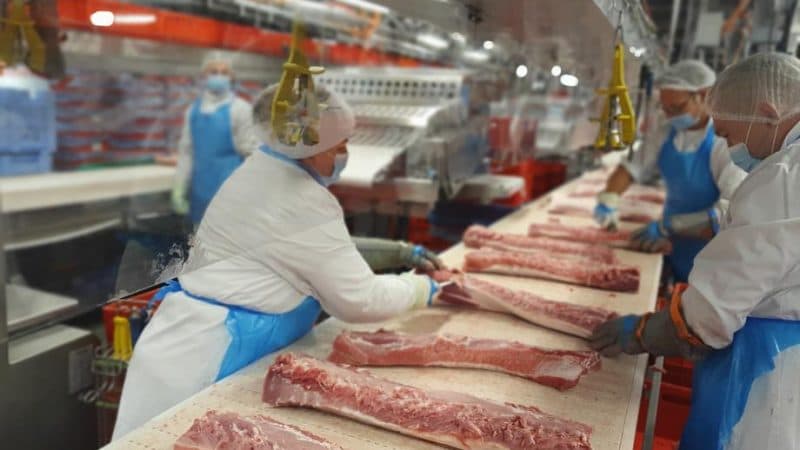 „Întregul sistem este putred”: viața în interiorul industriei cărnii din Europa povestită de emigranți
