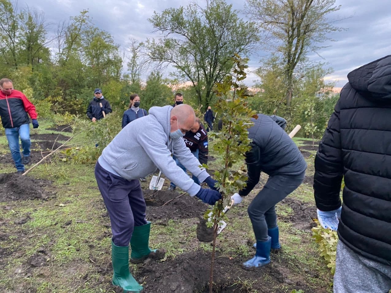 În această toamnă, vor fi plantați 618 000 de arbori și 9000 de arbuști