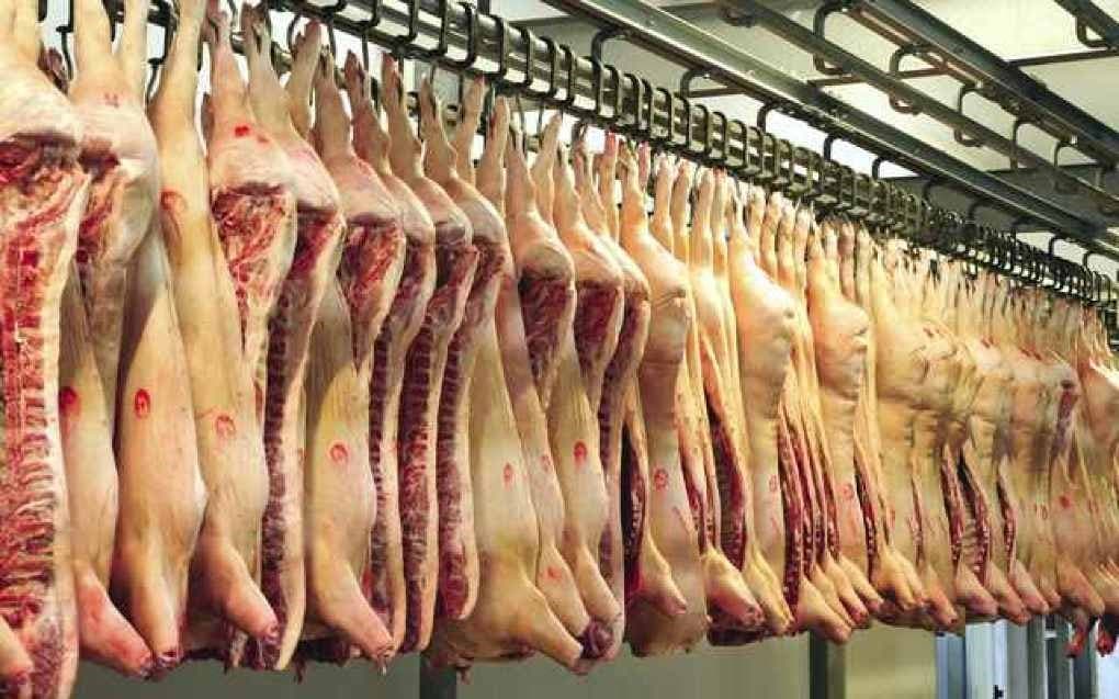 Spania ar putea prelua titlul de cel mai mare producător de carne de porc din Europa