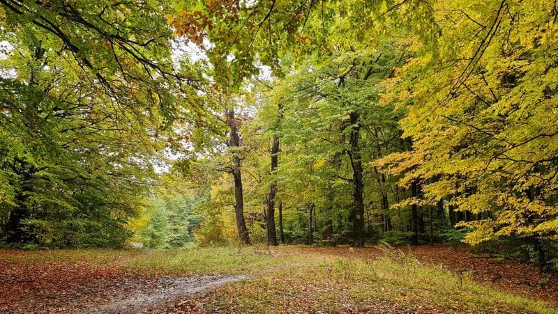 Istoria celor mai calde și mai reci zile de toamnă, din 1887, până în prezent – De la ninsorile din septembrie la foarte scurta vară de noiembrie