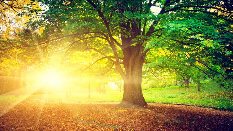 Temperaturi confortabile în week-end