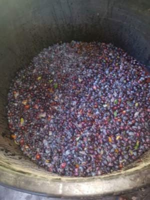 Câtă țuica iese din 100kg de prune, mere, gutui, struguri