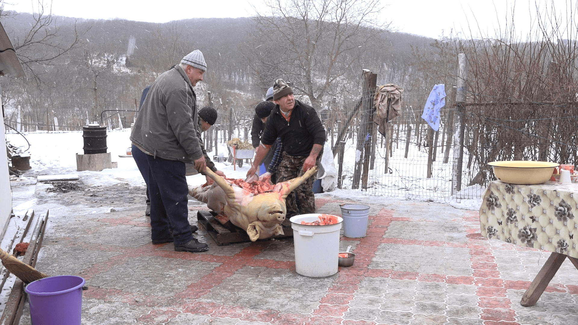 Tăierea porcului – o tradiţie respectată în ajun de Sărbători