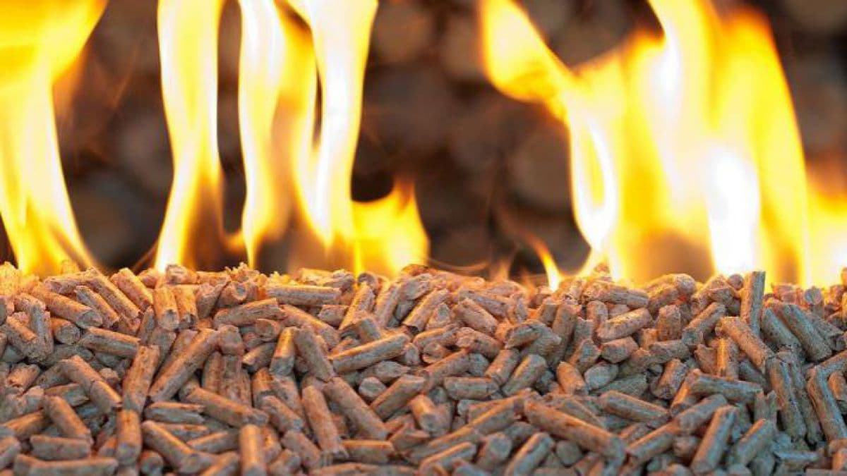 Încălzire de patru ori mai ieftină! Localnicii din comuna Seleuș, România, își vor încălzi casele cu energie din biogaz
