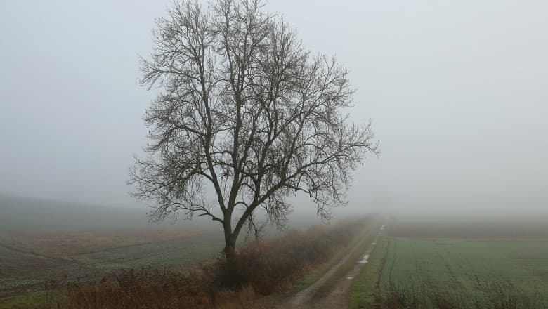 Începe o perioadă ploioasă, prognozează meteorologii