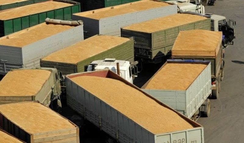 Polonia simplifică procedurile pentru exporturile de cereale din Ucraina