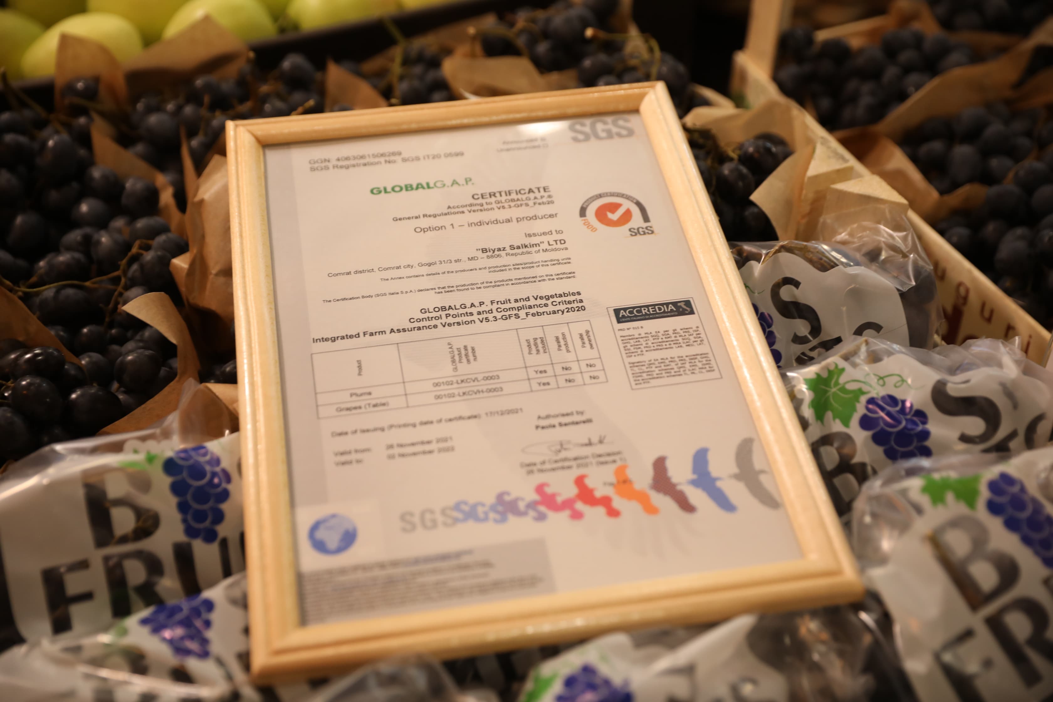 Certificatele GLOBALG.A.P. și GRASP au facilitat creșterea exporturilor de fructe în UE / FOTO