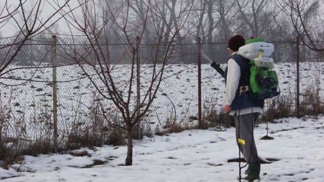 Cum combatem rezervele biologice ale dăunătorilor în pomicultură?