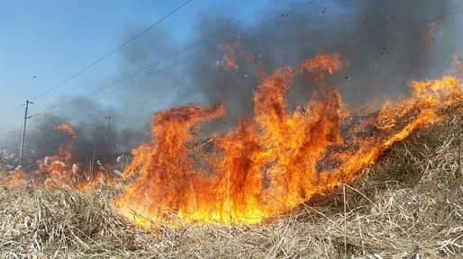 Vântul puternic a provocat incendii mari