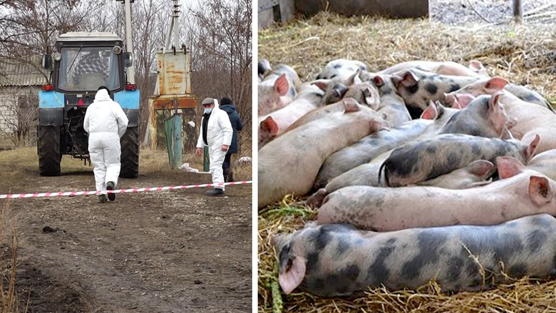 Carantină la Rîșcani, dar nu din cauza COVID-ului