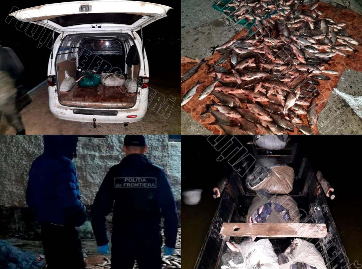 VIDEO/ Braconieri piscicoli, prinși în flagrant