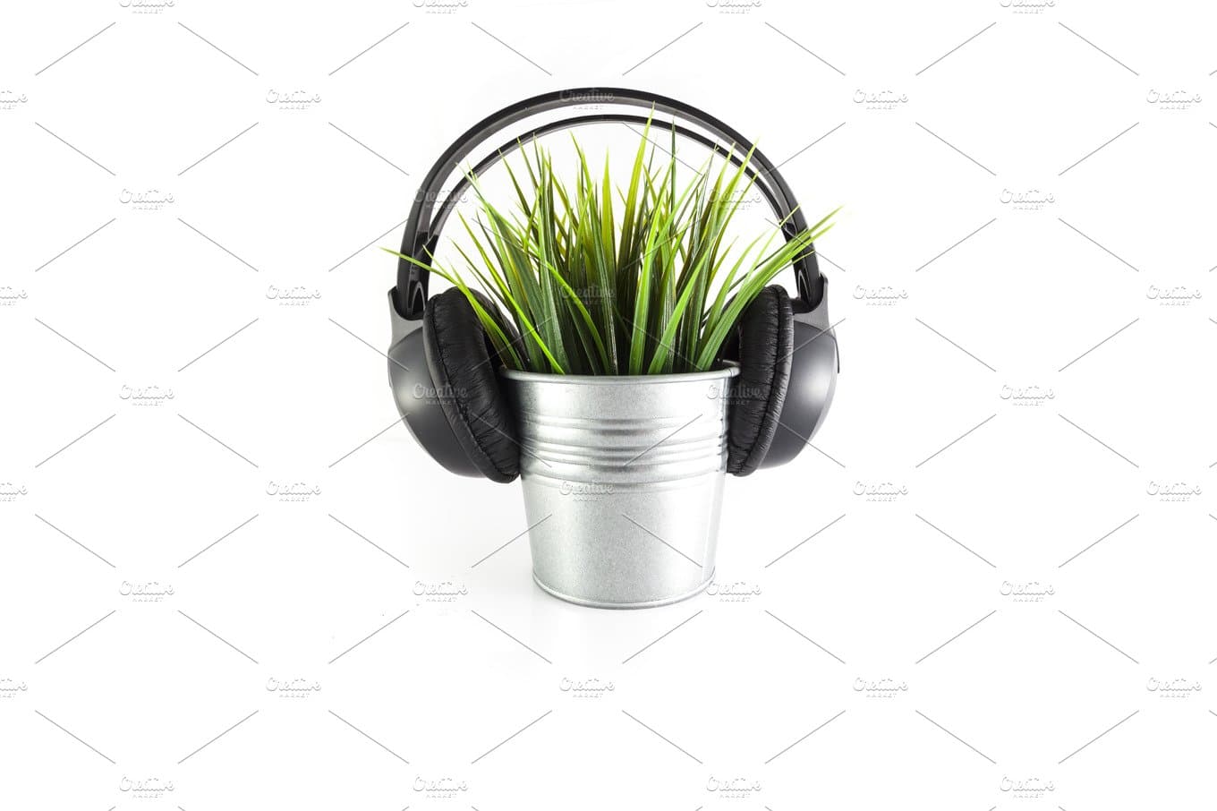 Muzica clasică ajută plantele să crească mai repede