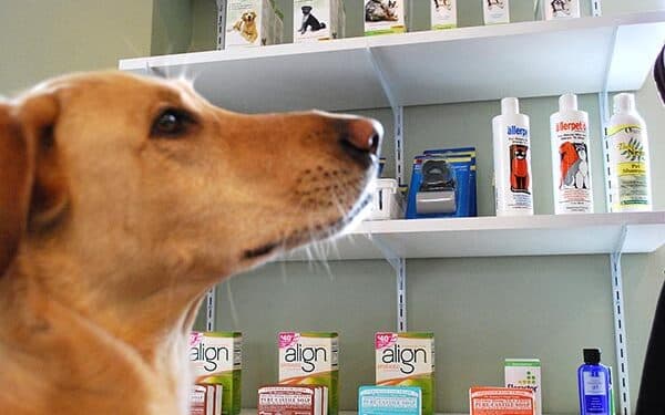 Procedura de înregistrare a medicamentelor de uz veterinar ar putea fi simplificată