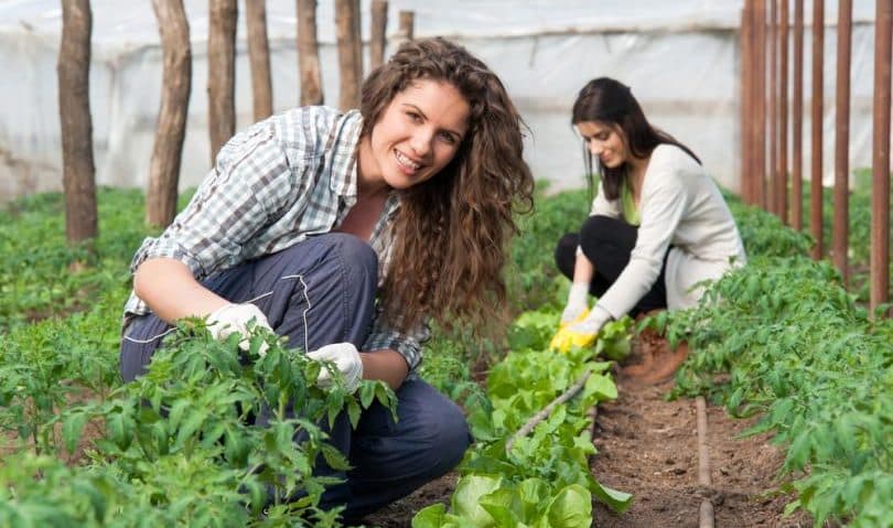 Sprijin financiar pentru femeile și tinerii areprenori din domeniul agricol