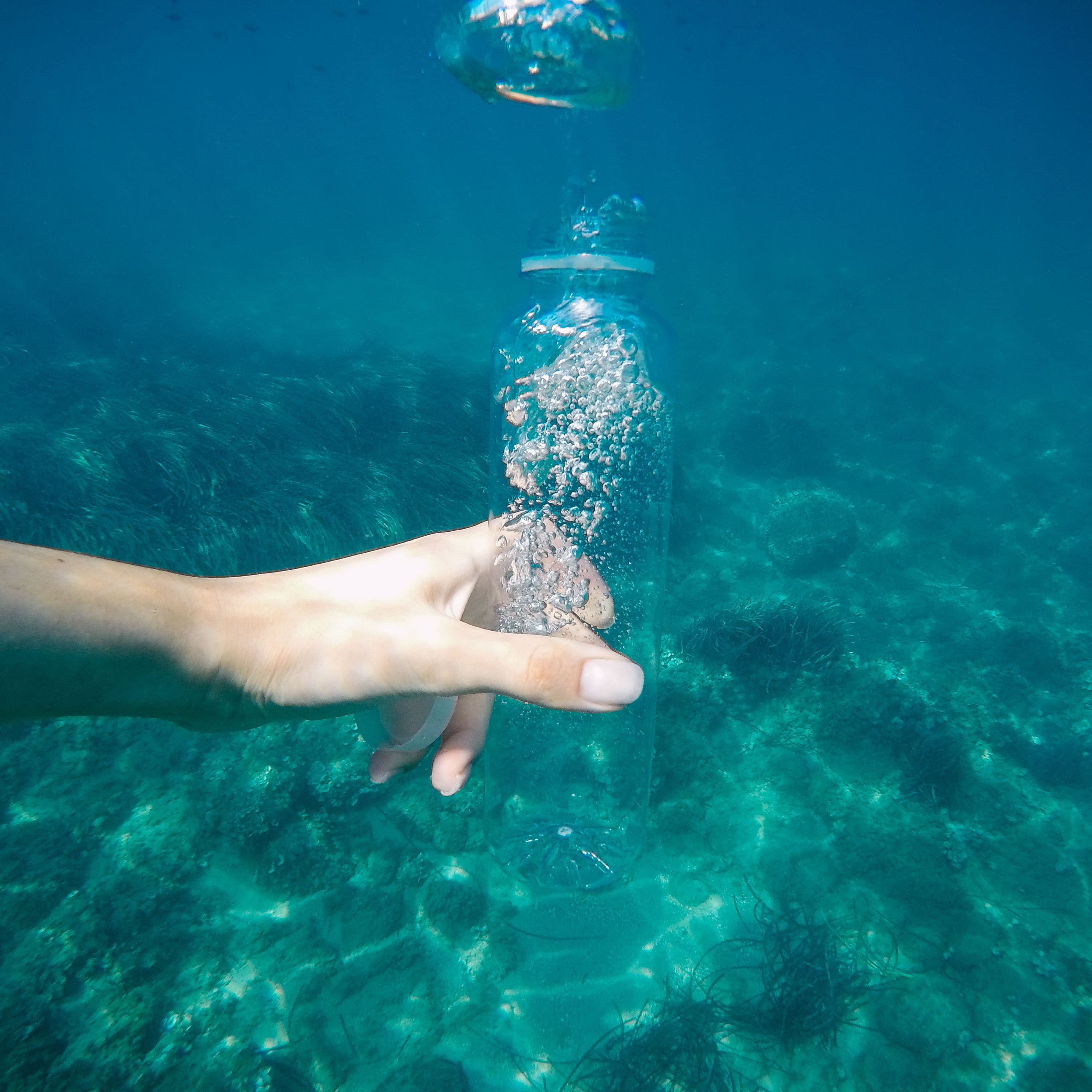 Schimbările climatice conduc la dezoxigenarea oceanelor