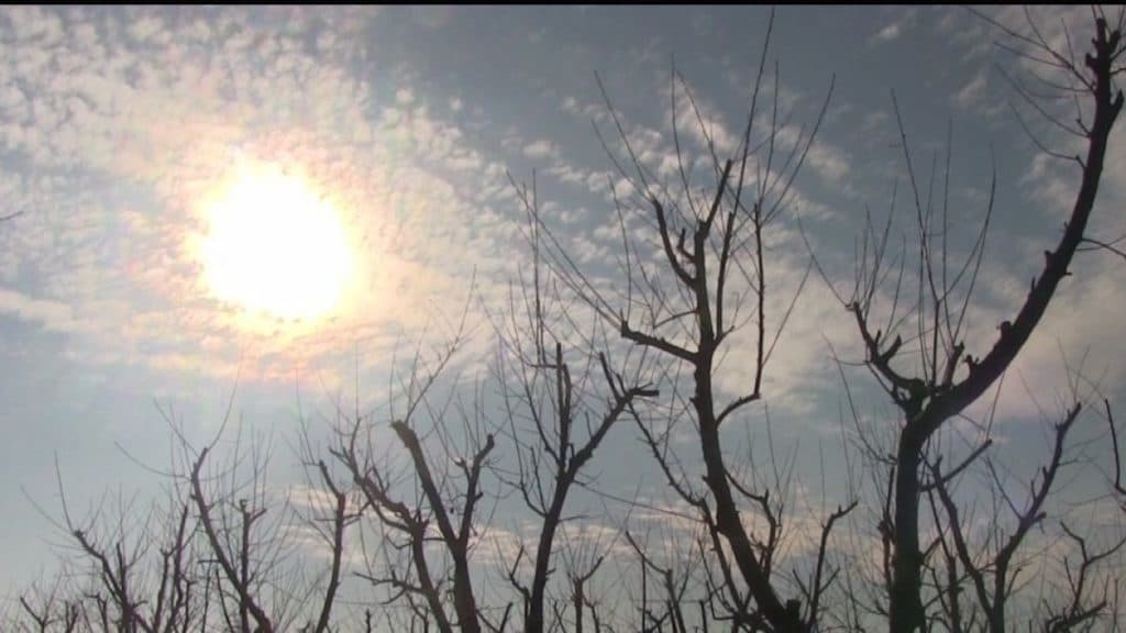 Vreme mai blândă și maxime de 15 °C