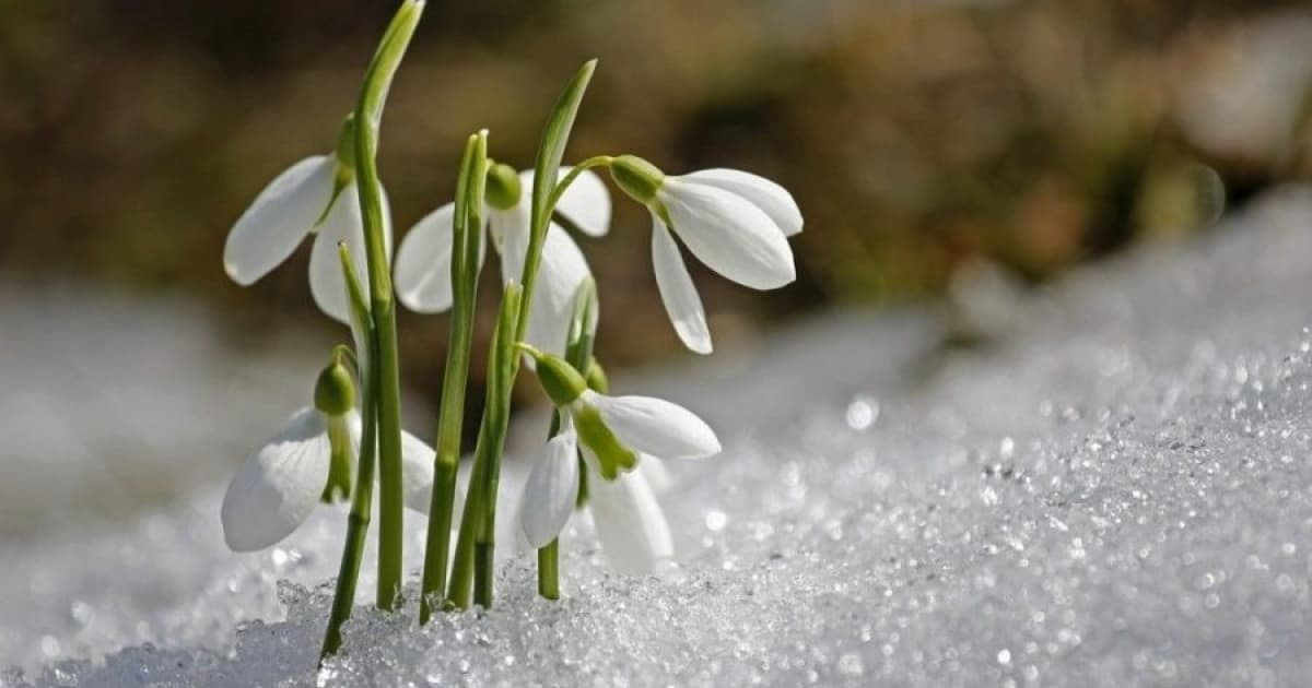 Va ninge în toată țara, prognozează meteorologii