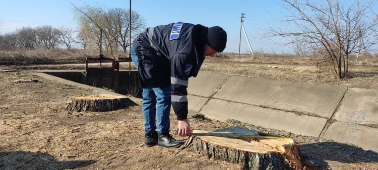 Producător agricol din Criuleni, amendat pentru tăieri ilicite