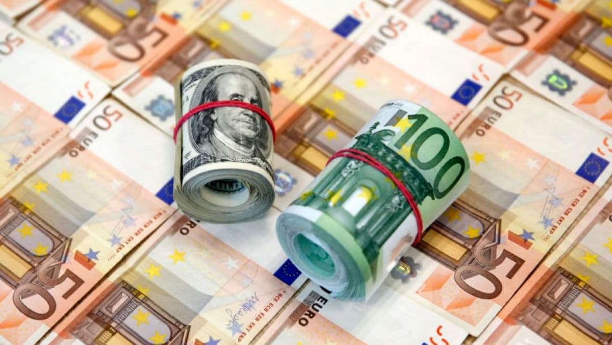 BNM 6-8 decembrie 2024