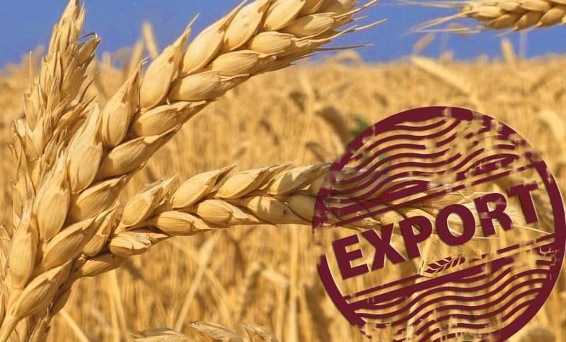Sistarea exporturilor către Rusia va afecta cel mai mult agricultorii