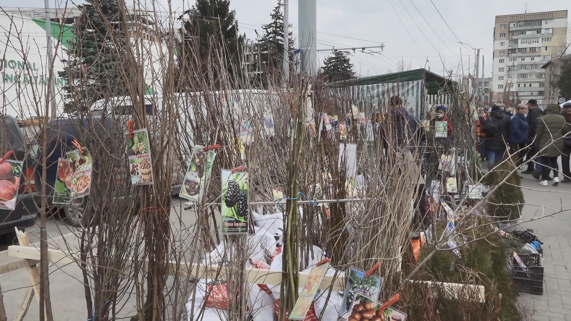 Târg de material săditor, organizat în Capitală